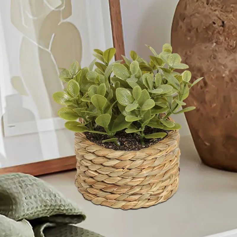 1 unidad de pequeñas plantas a - Home Office Layout reseña y precio