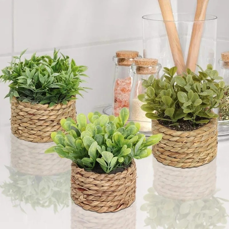 1 unidad de pequeñas plantas a - Home Office Layout reseña y precio